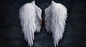 angelo-sparnai